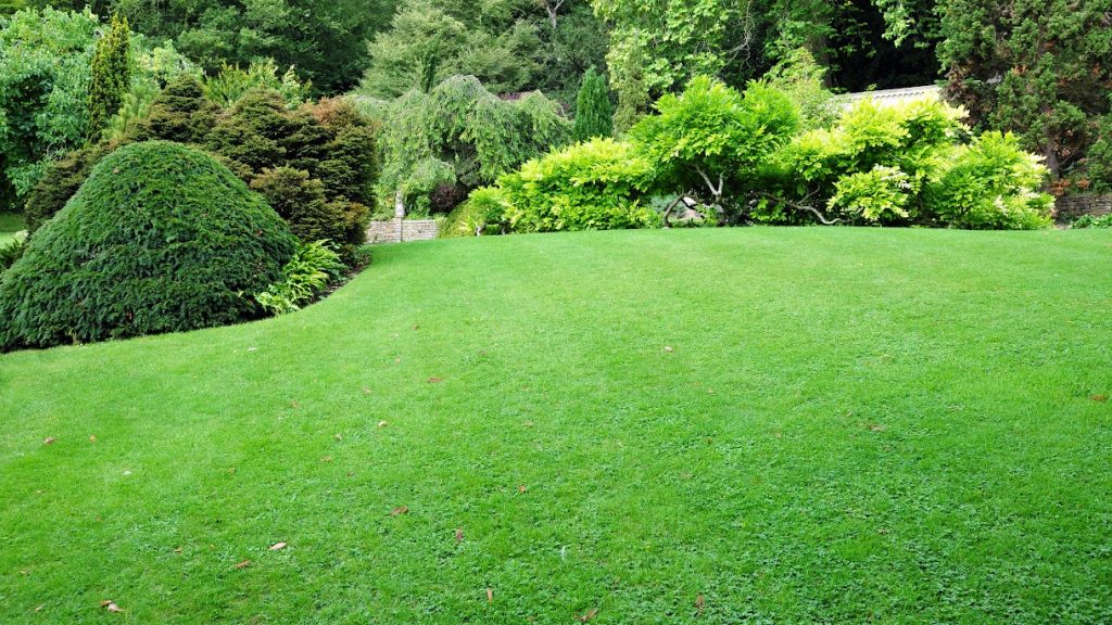 Mendieta Landscaping